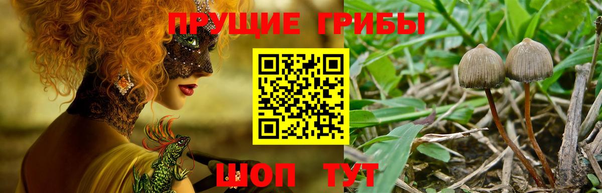 Псилоцибиновые грибы ЛСД  Псилоцибиновые грибы Cubensis  Добрянка  Вход с VPN 